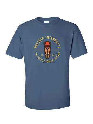 A gray t-shirt with a large red and orange cicada in the middle, with the words RAVINIA INTERRUPTA above and THE LOUDEST SONG OF SUMMER below, along with the year 2024.