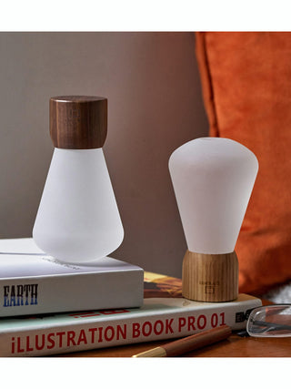 Two unilluminated light bulbs, one with a walnut base and the other with a white ash base, on top of books.