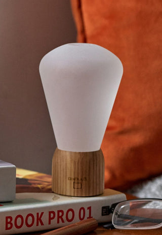 An unilluminated light bulb with a light wooden base, sitting on top of a book.