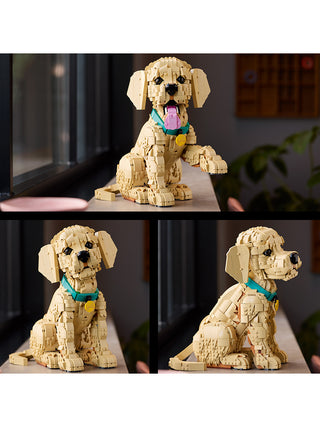Three images of the assembled LEGO Golden Retriever Puppy, one with its tongue out and paw up, one with its mouth shut and paw down, one of the side profile.