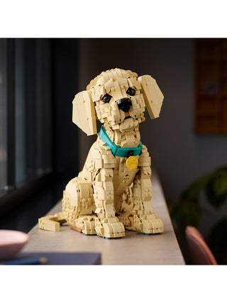 The LEGO Golden Retriever Puppy sitting on a counter.