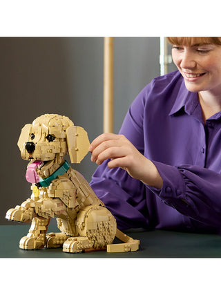 A smiling person playing with the LEGO Golden Retriever Puppy.