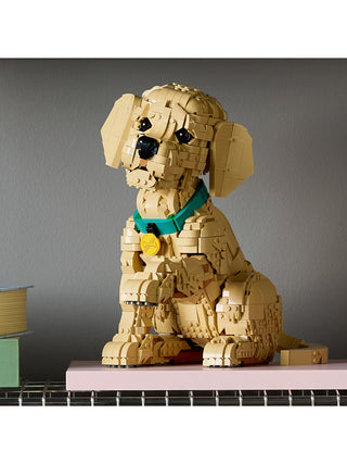 The LEGO Golden Retriever Puppy sitting on a book with its paw up.