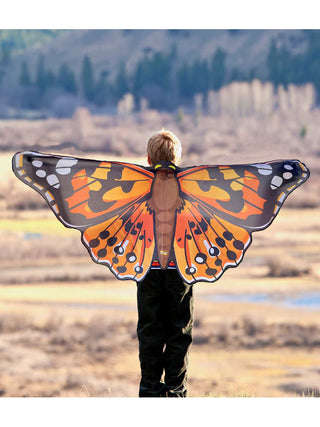 A young boy from the back, with a 4-foot wide orange and black polyester butterfly attached to him.