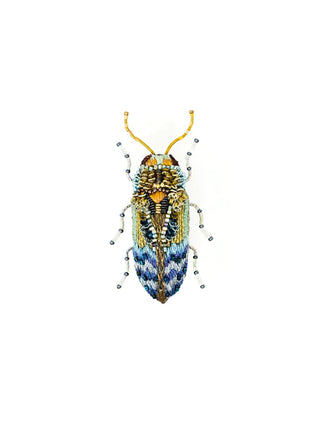 An embroidered brooch of a blue and yellow florentinus beetle.
