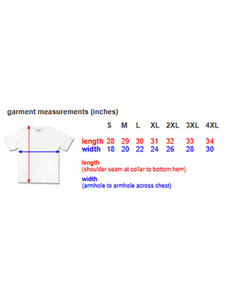 A sizing chart for this t-shirt.