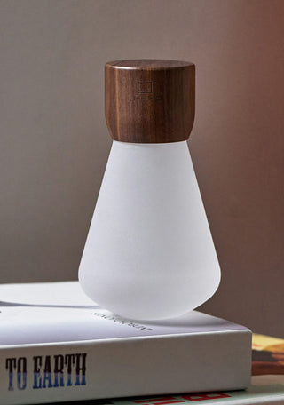 An unilluminated upside-down light bulb with a dark wooden base, sitting on top of a book.