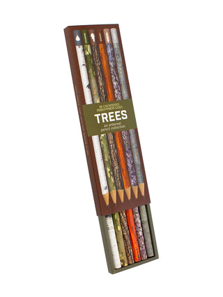 The box set of pencils partially open to reveal the six pencils, each with a unique tree bark design.