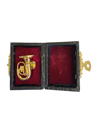 A lapel pin that looks like a gold tuba in a red, velvet-lined case.