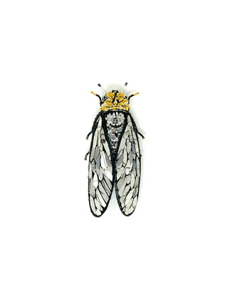 Walker's Cicada Brooch Pin