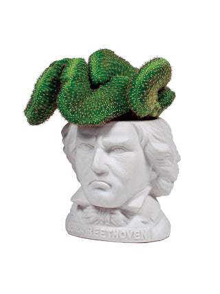 A white bust planter pot that looks like Ludwig van Beethoven, with a cactus in the pot.