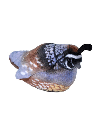 A plush version of a California quail.