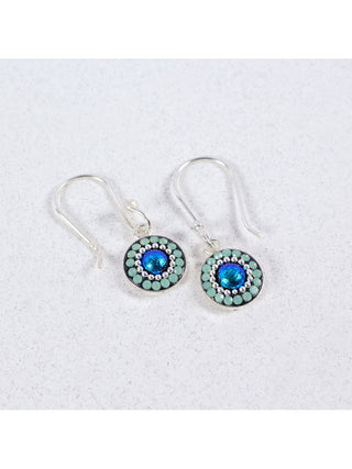 A pair of bedazzled crystal circle earrings on wire hooks.