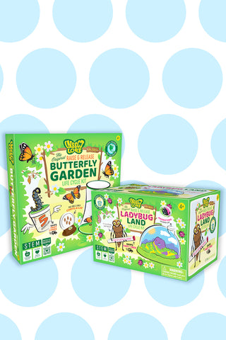 A butterfly garden kit and a ladybug growing kit in front of a blue and white background.