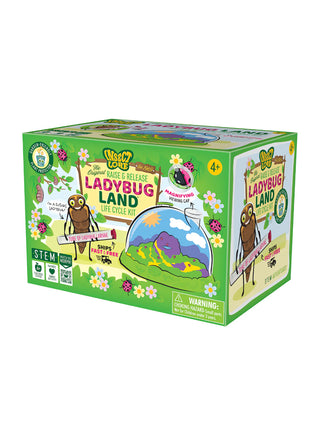 A green box with a drawing of ladybugs and the ladybug land.