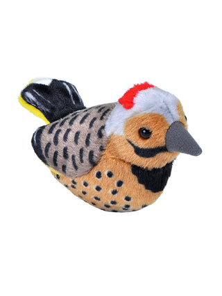 A plush version of a northern flicker.