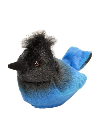 A plush version of a steller's jay.